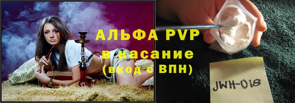 спиды Новокубанск