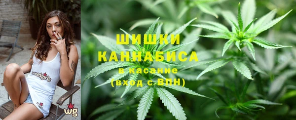 не бодяженный Новодвинск