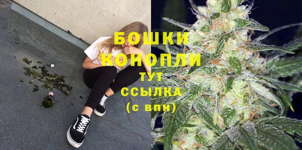 стаф Вязьма