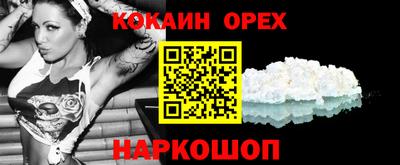 крисы Будённовск