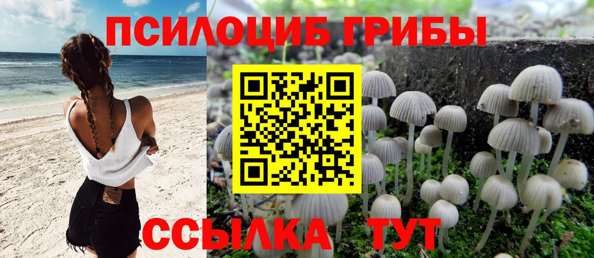 Ишимбай  Псилоцибиновые грибы Psilocybine cubensis  Вход с VPN  Псилоцибиновые грибы Magic Shrooms 